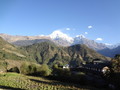 DSC00728