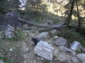 DSC00729
