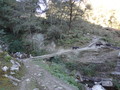 DSC00730