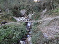 DSC00731