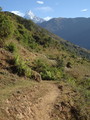 DSC00732