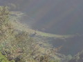 DSC00733