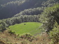 DSC00734