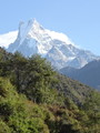 DSC00735