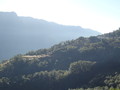 DSC00736