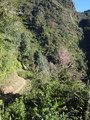 DSC00737