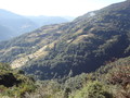 DSC00738