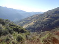 DSC00740