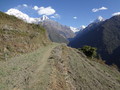 DSC00744