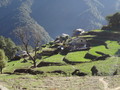 DSC00748