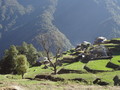 DSC00749