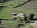 DSC00752