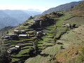 DSC00754