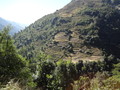 DSC00757