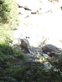 DSC00762