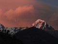 DSC00779