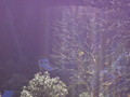 DSC00792