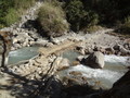 DSC00800