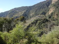 DSC00804