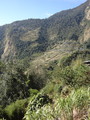 DSC00807