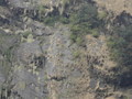 DSC00817