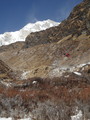 DSC00881