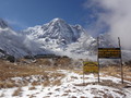 DSC00910