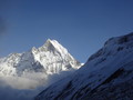 DSC00918