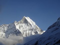 DSC00919
