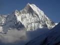 DSC00920