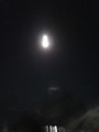 DSC00947