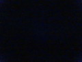 DSC00954