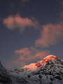 DSC00971