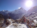 DSC01018