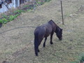 DSC01060