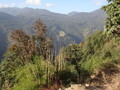 DSC01064