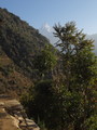 DSC01065