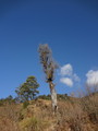 DSC01068