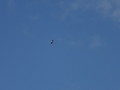 DSC01070