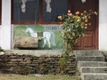 DSC01076