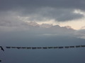 DSC01084