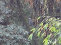 DSC01087