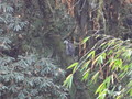 DSC01088