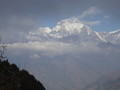 DSC01093