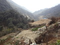 DSC01100