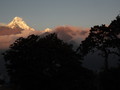 DSC01110