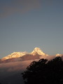 DSC01111