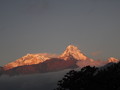 DSC01114