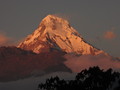 DSC01116