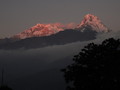 DSC01120